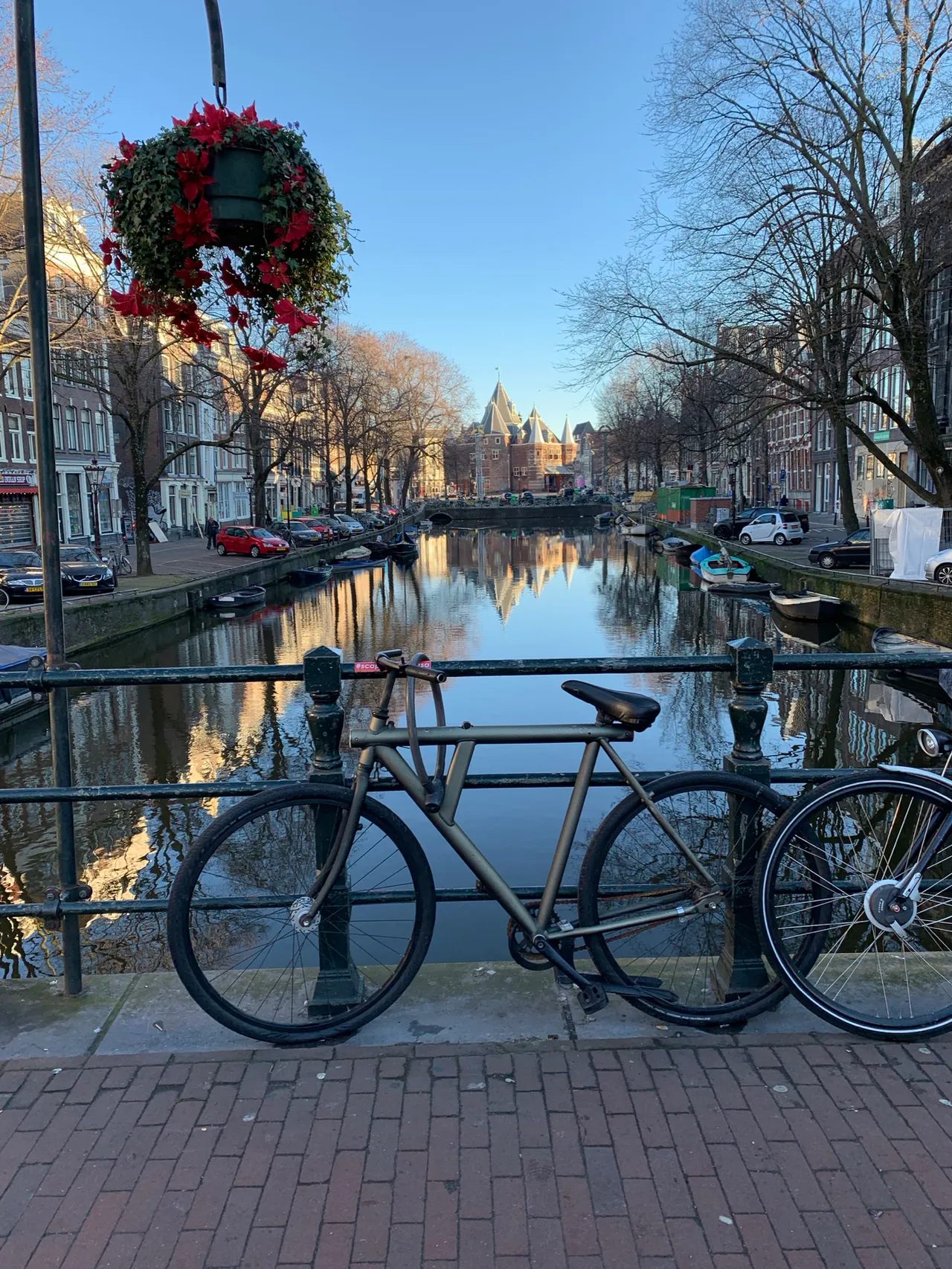 A bicycle locked to a canal bridge with a hanging basket over it. Dutch housing lines the canal behind.